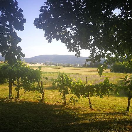 Claudia Vacanza Toscana - Appartamento Melograno -10 Min Da Siena Sovicille Zewnętrze zdjęcie