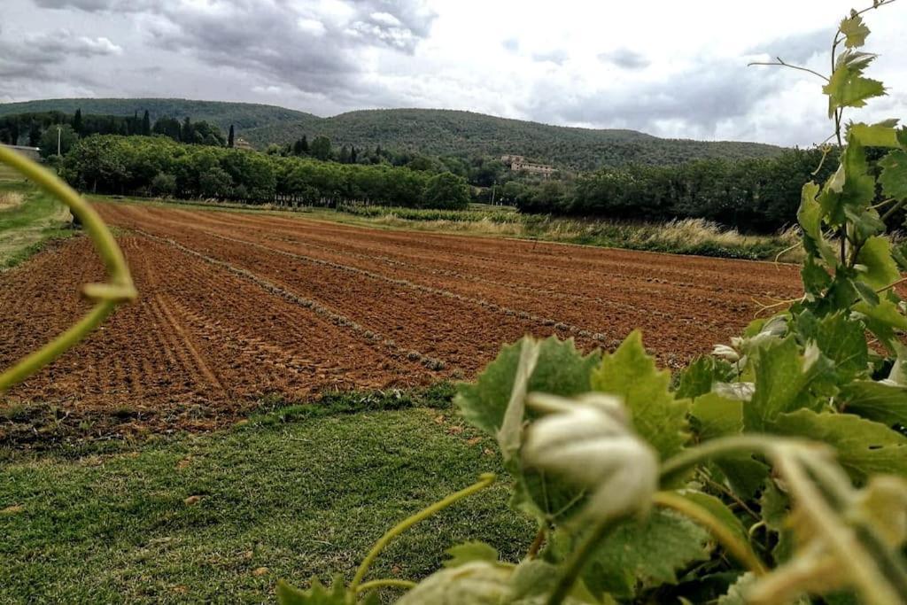 Claudia Vacanza Toscana - Appartamento Melograno -10 Min Da Siena Sovicille Zewnętrze zdjęcie