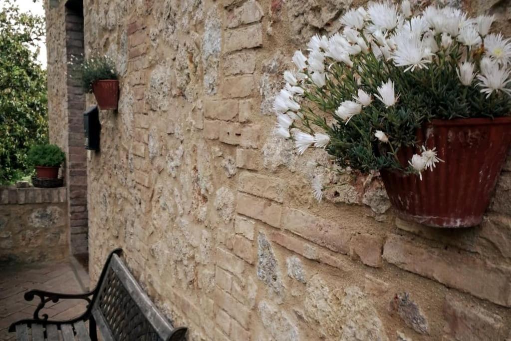 Claudia Vacanza Toscana - Appartamento Melograno -10 Min Da Siena Sovicille Zewnętrze zdjęcie