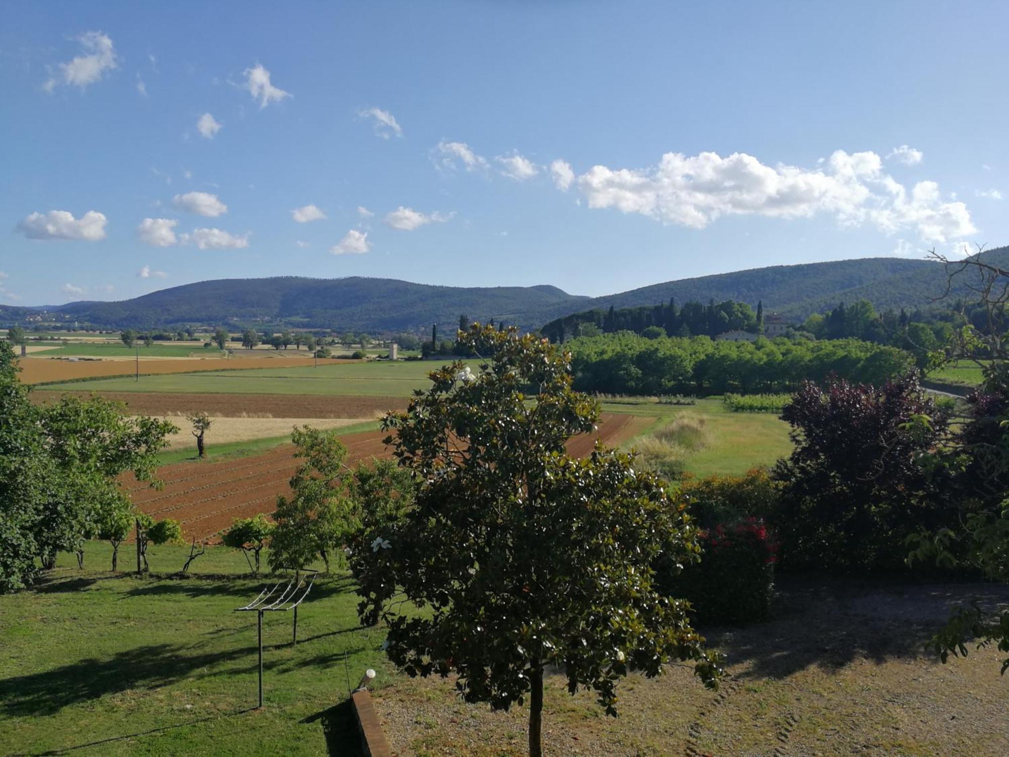 Claudia Vacanza Toscana - Appartamento Melograno -10 Min Da Siena Sovicille Pokój zdjęcie